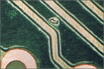 現像槽内での異物付着